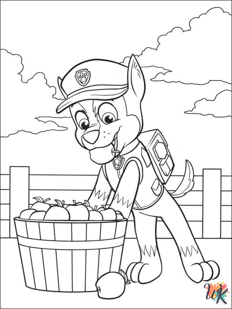Paw Patrol coloring online free for 12 year olds