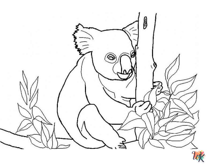 coloriage Koala  pour enfant a imprimer gratuit