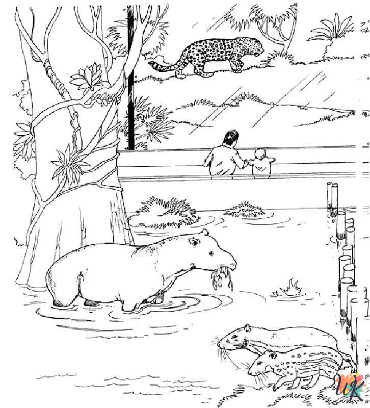 Coloriage Zoo 41