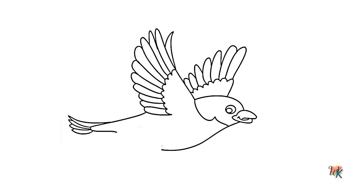 Comment dessiner Un Oiseau – Étape5