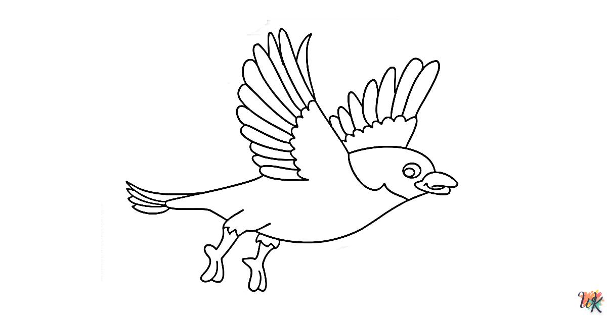 Comment dessiner Un Oiseau – Étape6