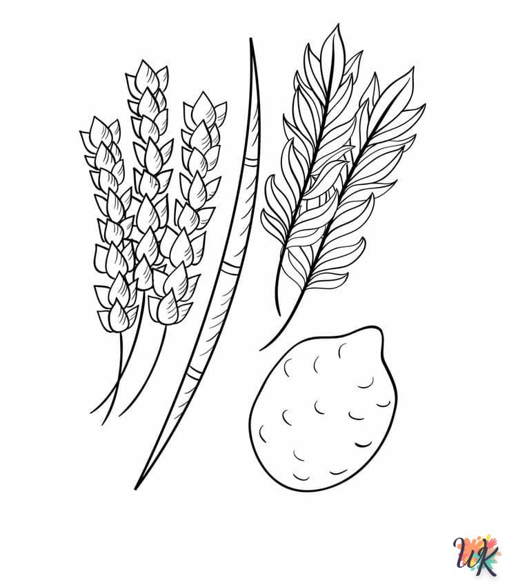 coloriage Sukkot  pour primaire