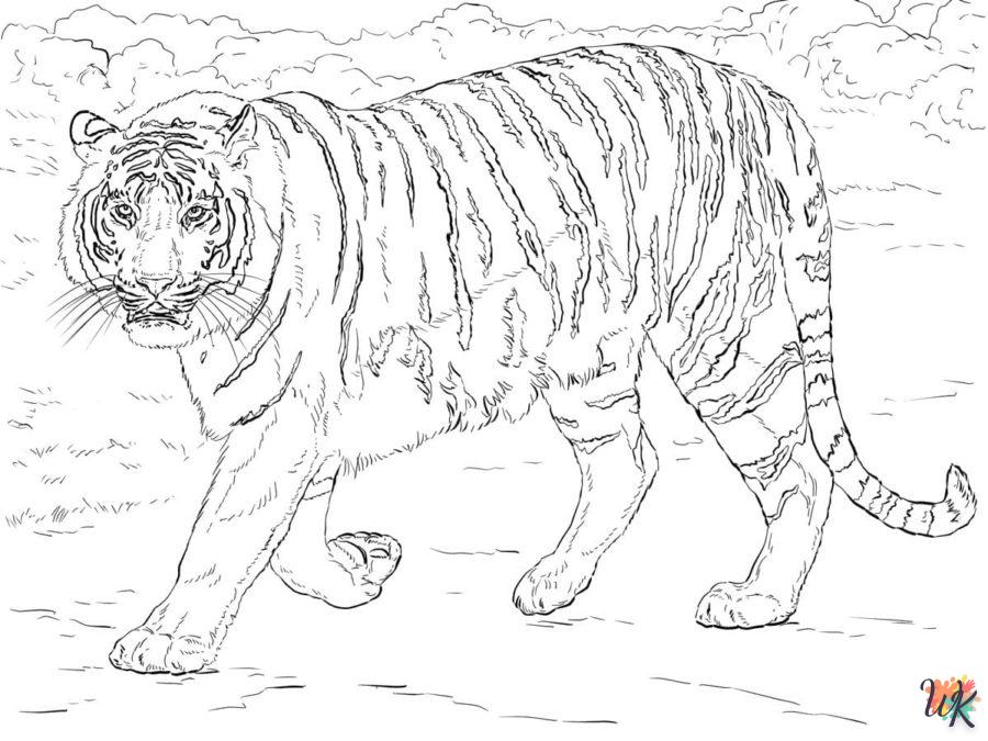 Coloriage Tigre 17