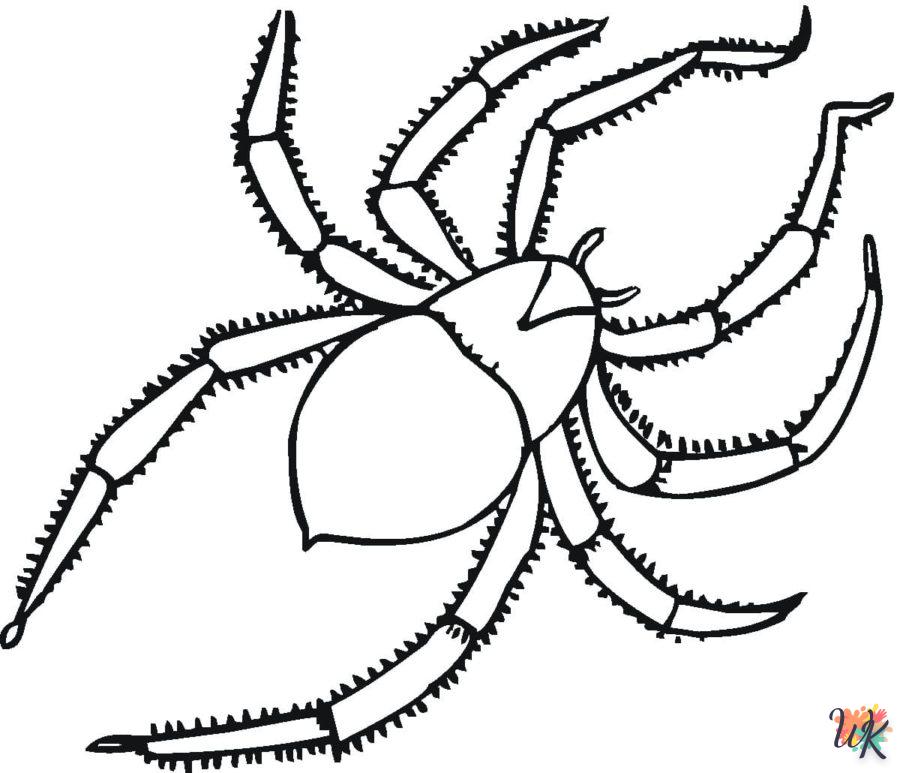 coloriage Araignée  a imprimer pour enfant de 4 ans 1