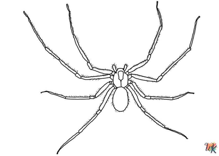 coloriage Araignée  a telecharger