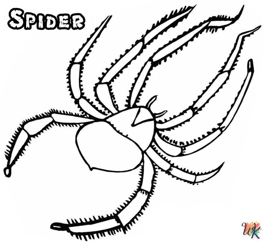 imprimer coloriage Araignée  gratuit