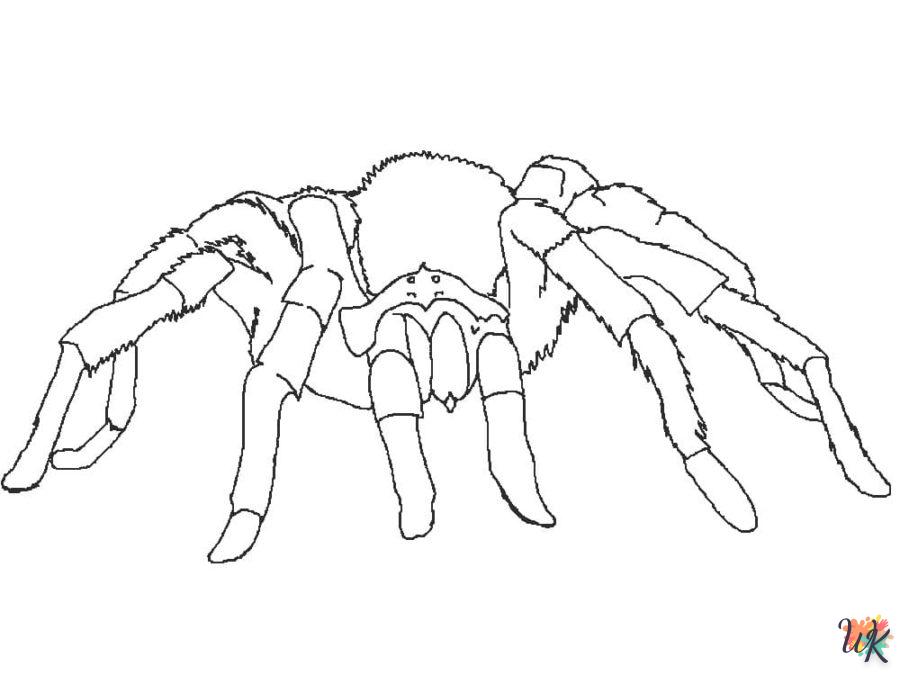 coloriage Araignée  à imprimer pour enfant de 12 ans 1