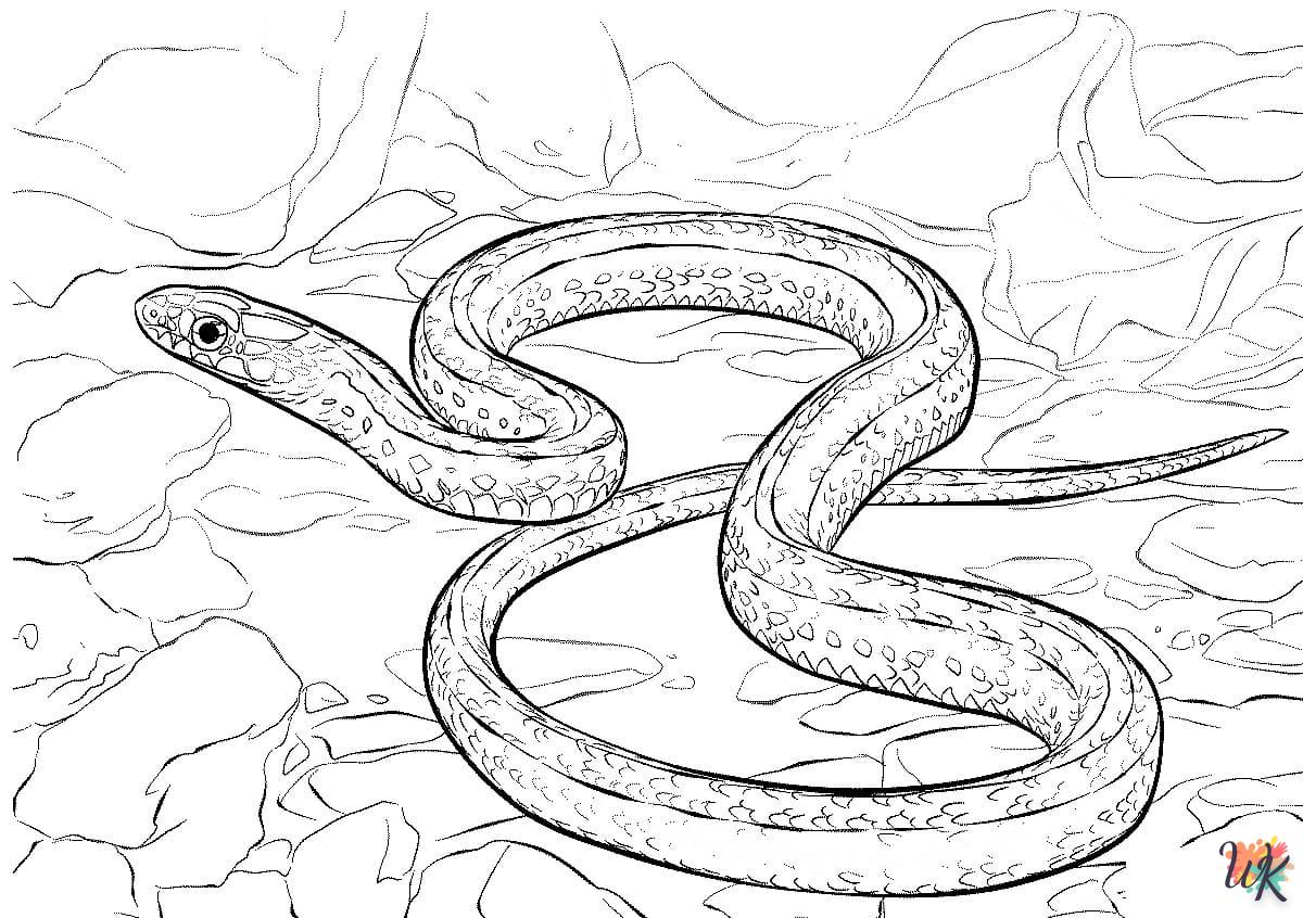 Coloriage Serpent 43