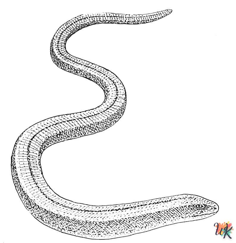 Coloriage Serpent 60