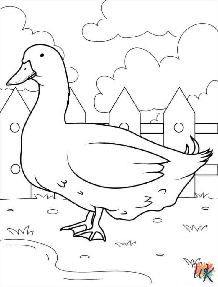 coloriage Canard  pour enfant de 5 ans