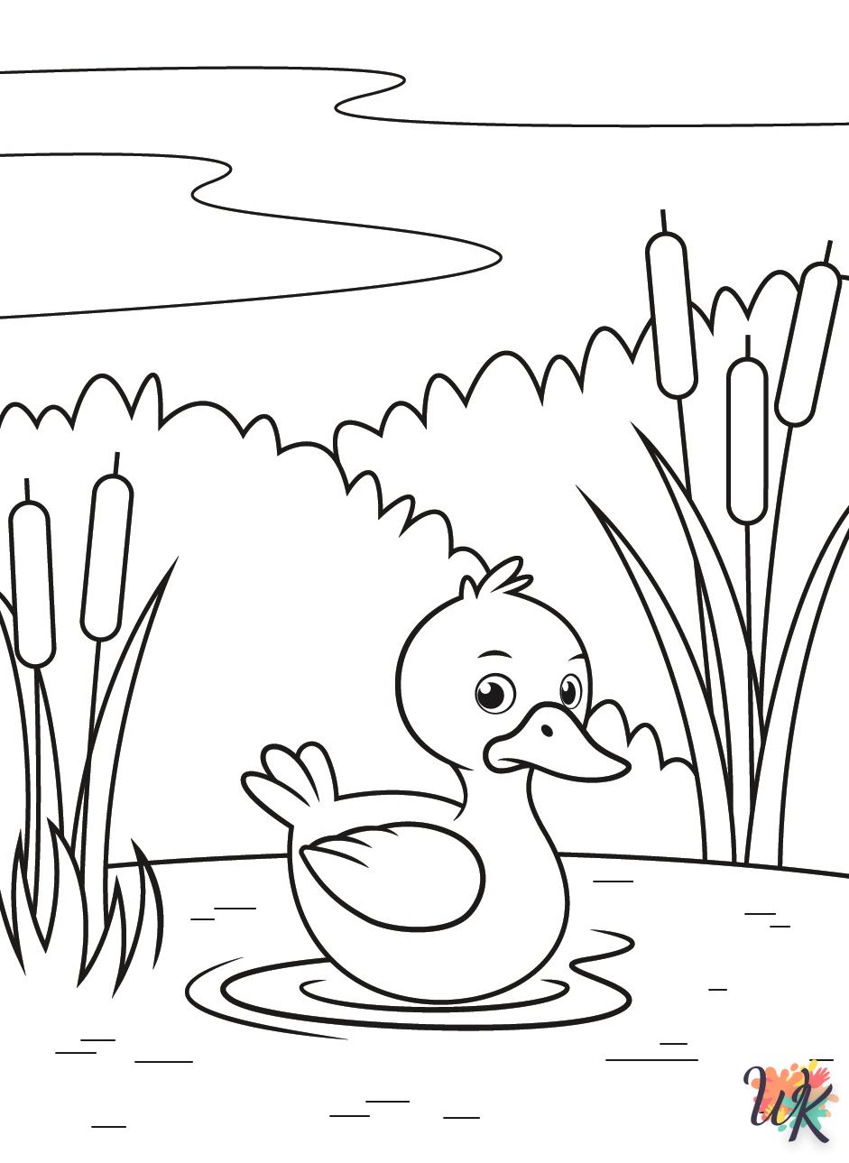 télécharger coloriage Canard  gratuit