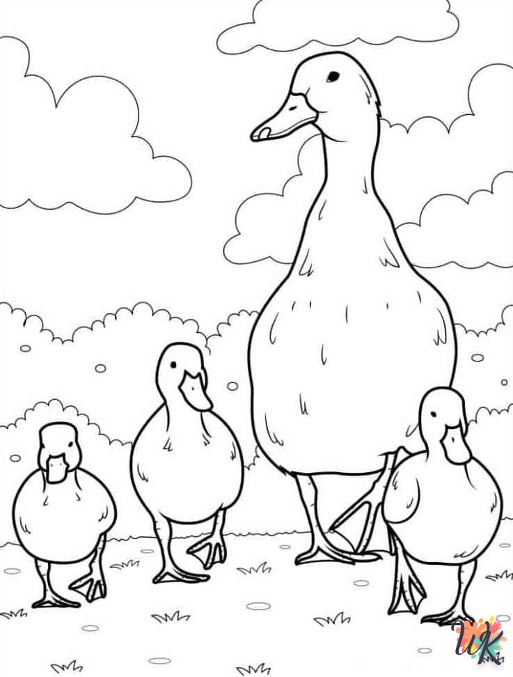 coloriage Canard  et dessins