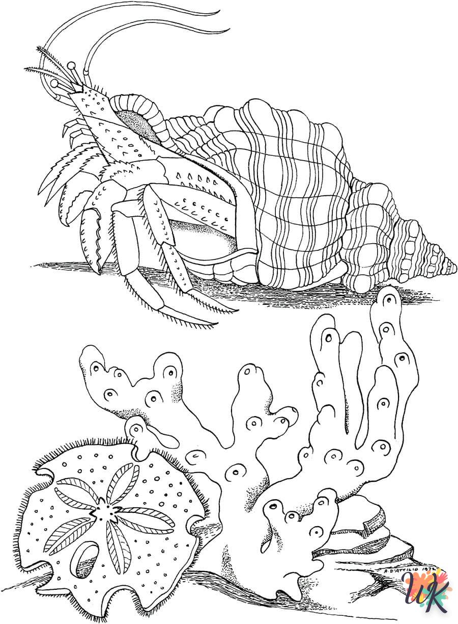 coloriage Crabe  animaux enfant a imprimer 1