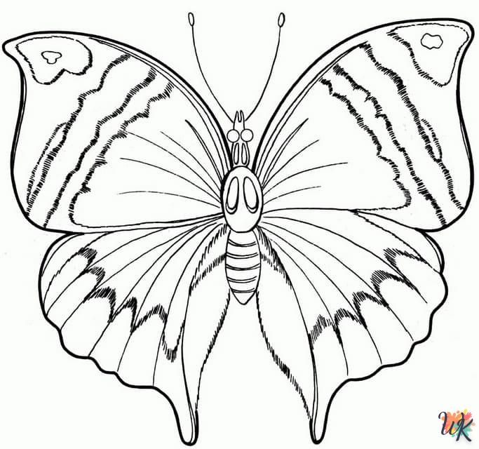 coloriage Papillon  pour primaire