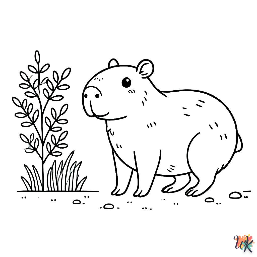 coloriage Capybara  bebe animaux a imprimer gratuit