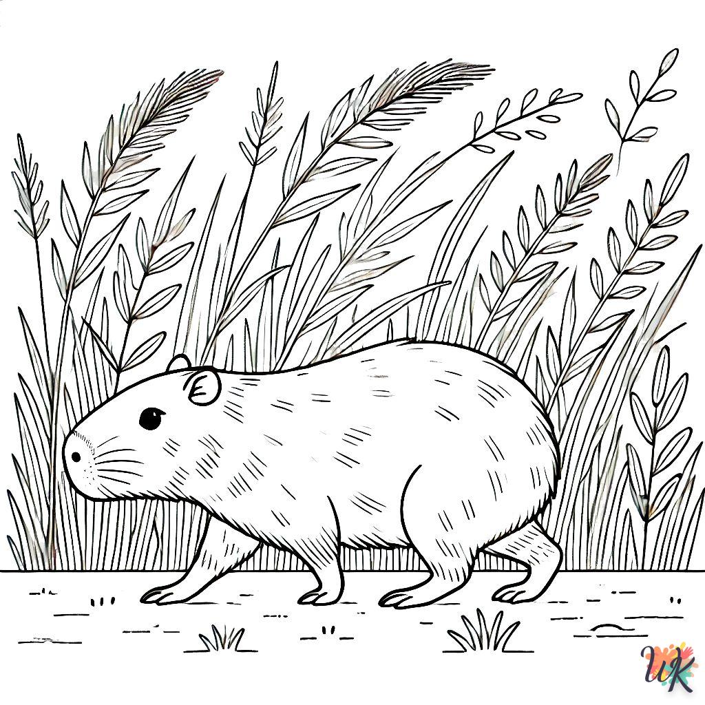 coloriage Capybara  à imprimer pour enfant de 7 ans